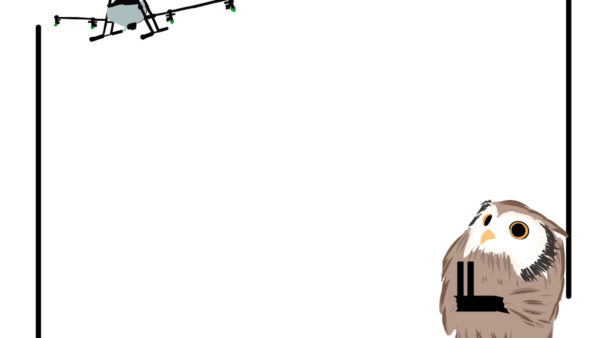 【2026年最新】初めてのドローン購入、許可申請はどうする？行政書士が教える「失敗しない」空のルール完全ガイド